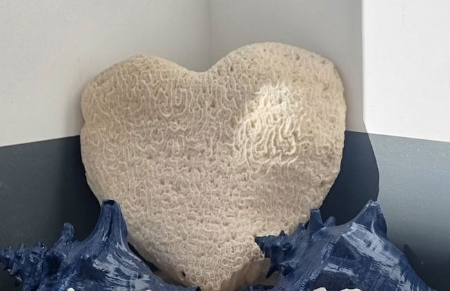 Kas Azul - Water front with private pool - Photo 24