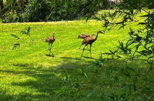 Photo 9 - Serene Punta Gorda Garden Home: Explore the Region