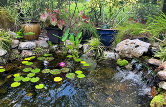 Foto 2 - Serene Punta Gorda Garden Home: Explore the Region