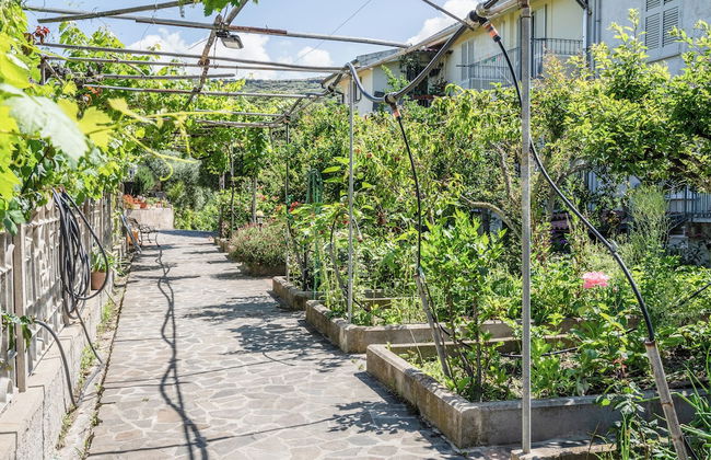 Le Case nel Vitigno - Photo 63