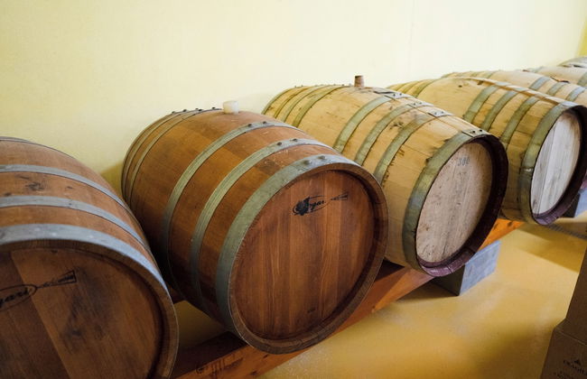 Le Case nel Vitigno - Photo 59