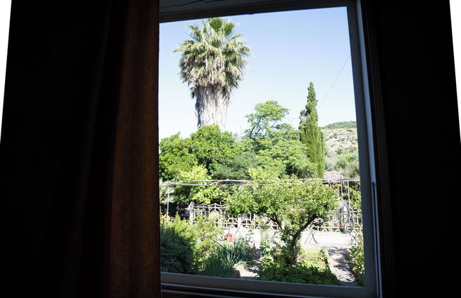 Le Case nel Vitigno - Photo 67