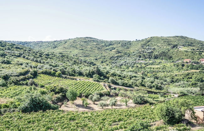 Le Case nel Vitigno - Photo 68