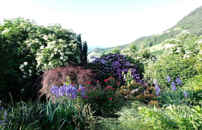 Le Rose Di Marianne - Sud - Photo 30