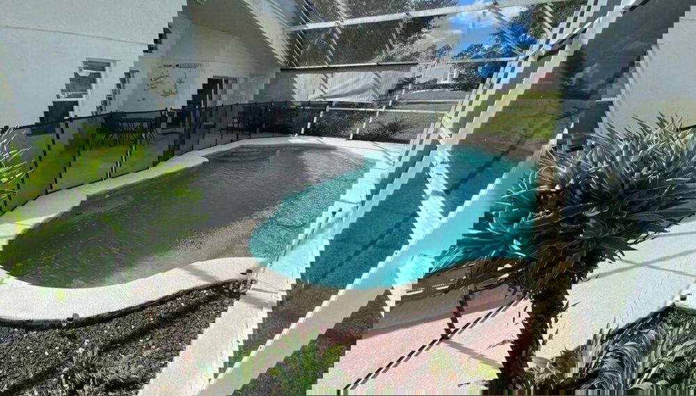 Imagem principal