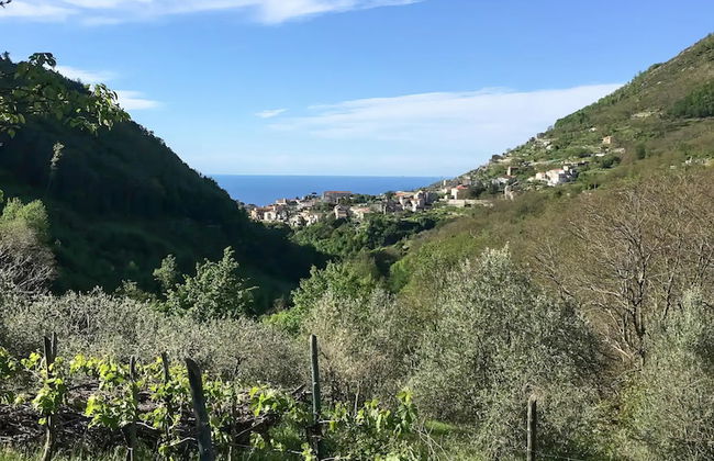 Villa Maddalena - Photo 28