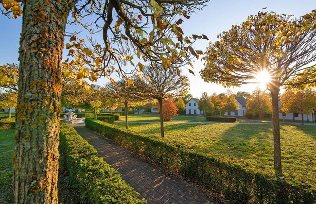 Ferienhaus in Mecklenburg-vorpommern mit Tropenpool & Spa - Foto 22