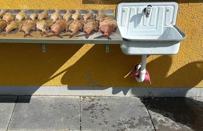 Holiday House at the Vilzsee, Mirow - Foto 40