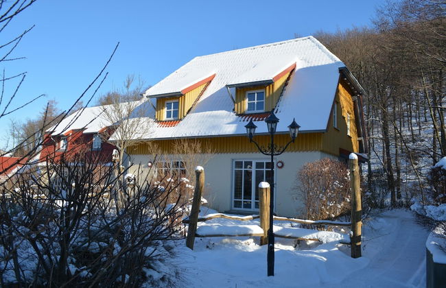 Holiday Home in Wernigerode With a Shared Pool - Foto 50