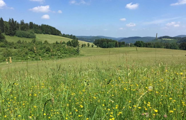 Wohnung in der Nahe des Skigebietes in Diemelsee - Foto 29