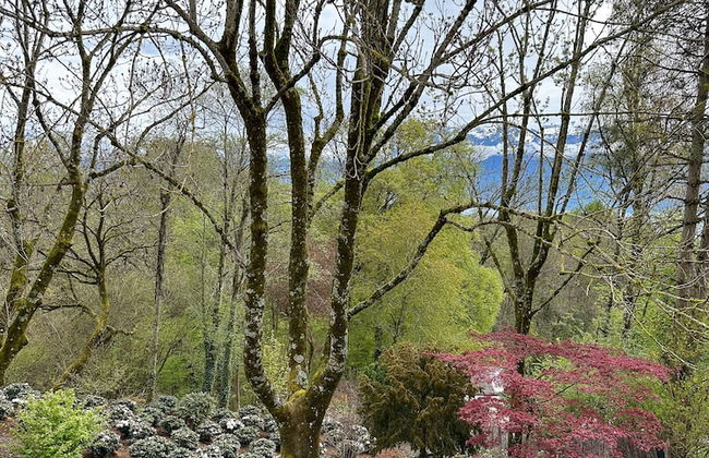 domaine du deven - Foto 45