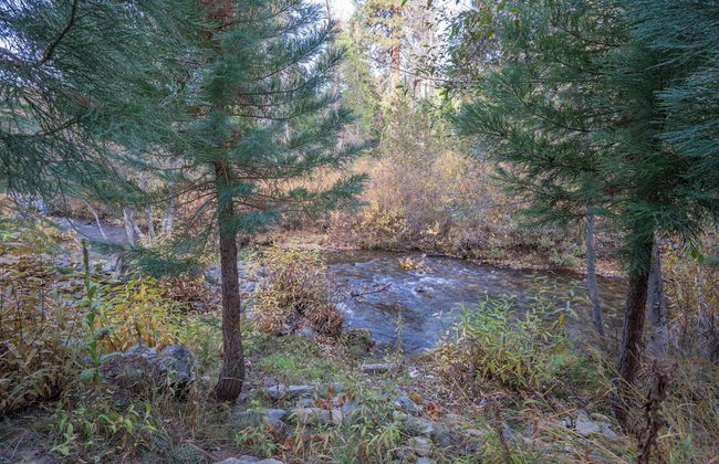 Yosemite Heights on Big Creek - Foto 23