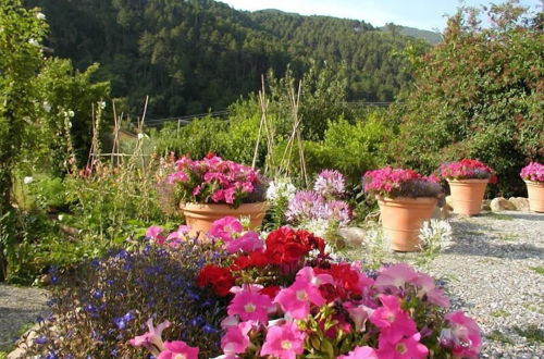 Foto 11 - Adorable Tuscan Cottage With Beautiful Garden Just Outside Lucca, Sleeps 2