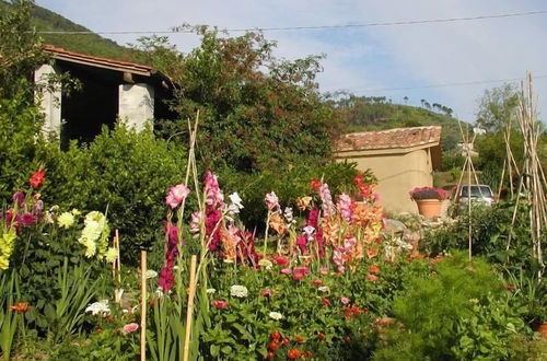 Foto 14 - Adorable Tuscan Cottage With Beautiful Garden Just Outside Lucca, Sleeps 2