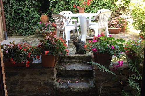 Photo 16 - Adorable Tuscan Cottage With Beautiful Garden Just Outside Lucca, Sleeps 2