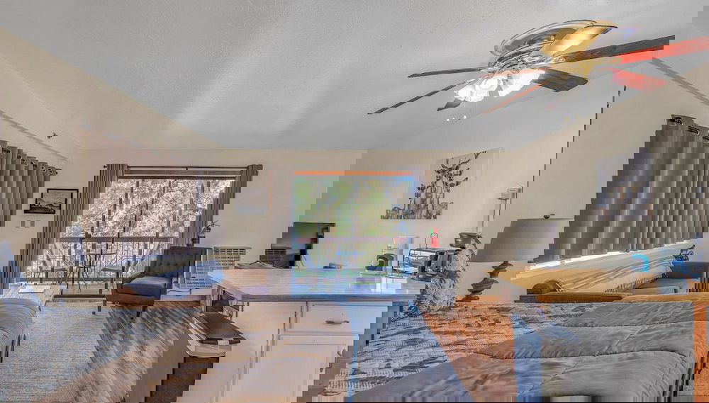 Image principale
