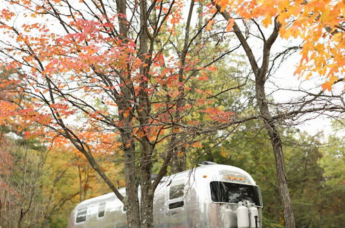 Photo 39 - The Bellefonte Campground