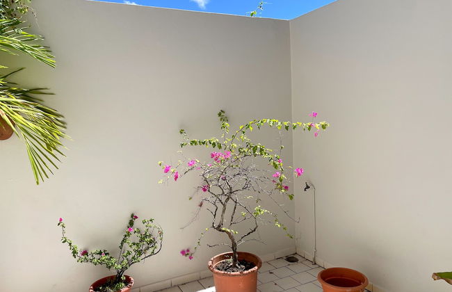 Salines Sutios - Foto 10