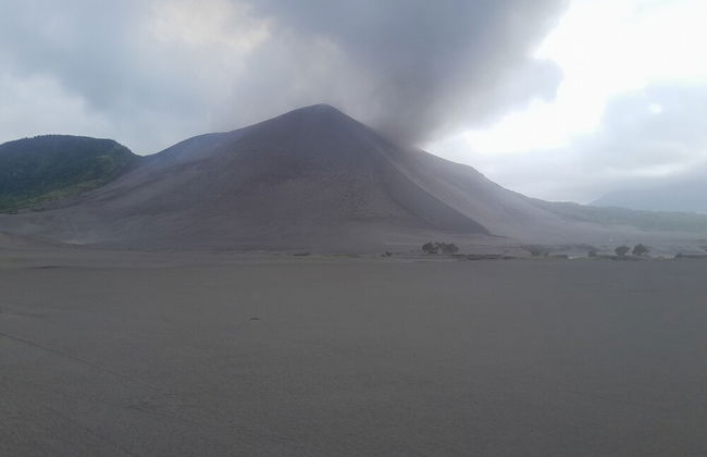 Glowing Mountain view tree house - Photo 50