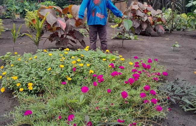 Glowing Mountain view tree house - Photo 33