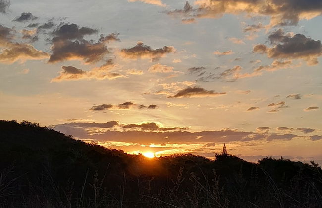 Glowing Mountain view tree house - Photo 55