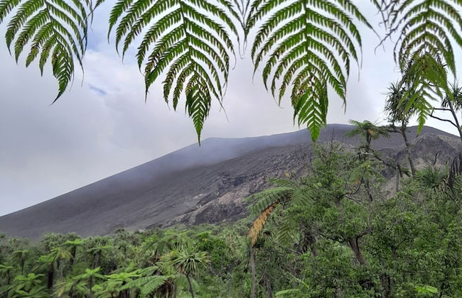 Glowing Mountain view tree house - Photo 21
