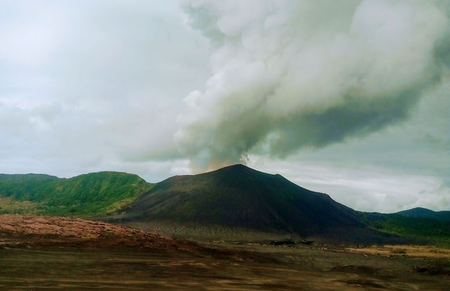Glowing Mountain view tree house - Photo 19