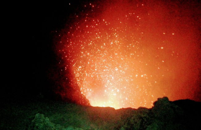 Glowing Mountain view tree house - Photo 30