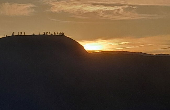 Glowing Mountain view tree house - Photo 29