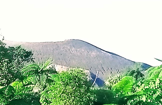 Glowing Mountain view tree house - Photo 42