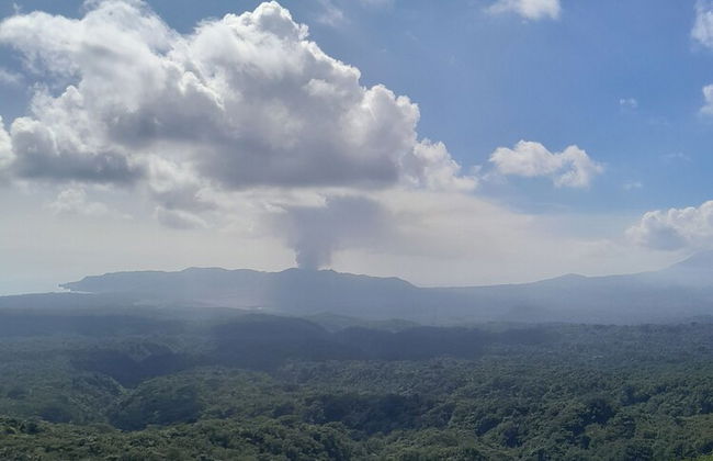 Glowing Mountain view tree house - Photo 48