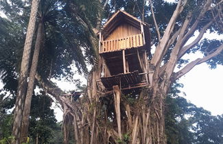 Photo 2 - Glowing Mountain view tree house