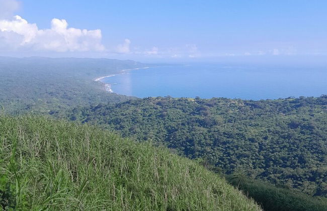 Glowing Mountain view tree house - Photo 35