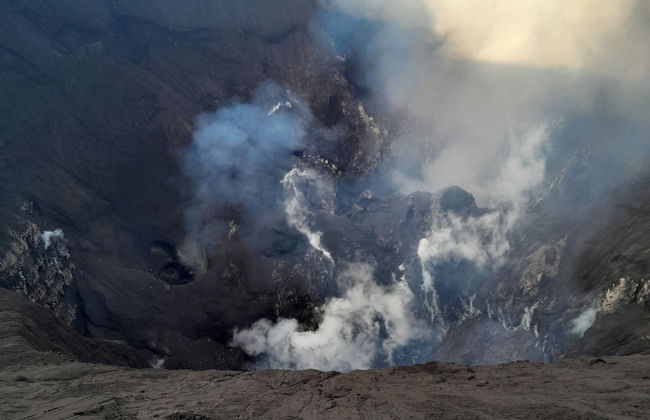 Glowing Mountain view tree house - Photo 34