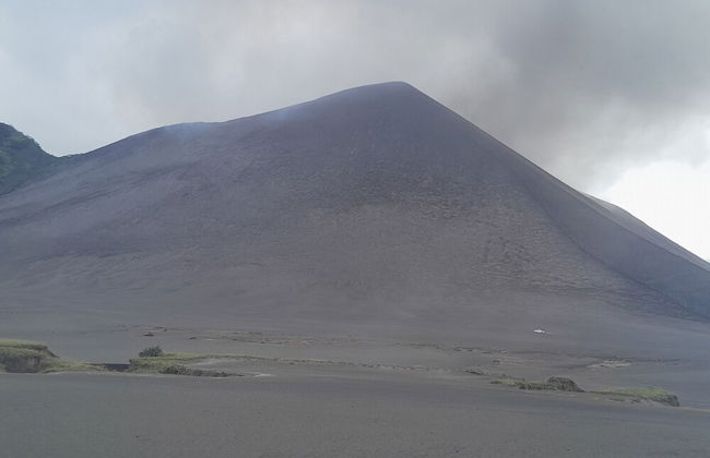 Glowing Mountain view tree house - Photo 24