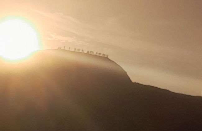 Glowing Mountain view tree house - Photo 45