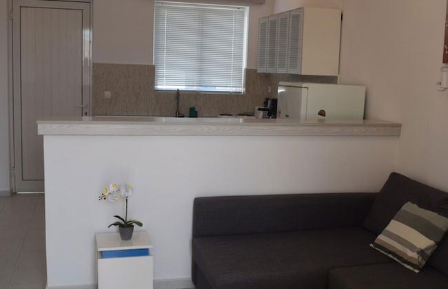 Lefteris Spacious APT Near Ialysos Beach - Photo 5