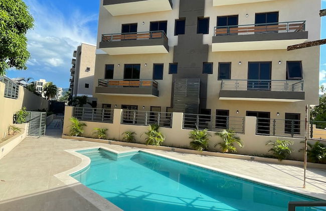 Paddington Terrace Oasis - Photo 9