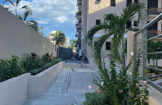 Paddington Terrace Oasis - Photo 1