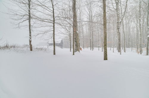 Photo 20 - Michigan Cabin Retreat: 5 Mi to Sturgeon Bay Beach