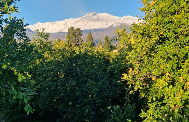 Lumia - Foto 30