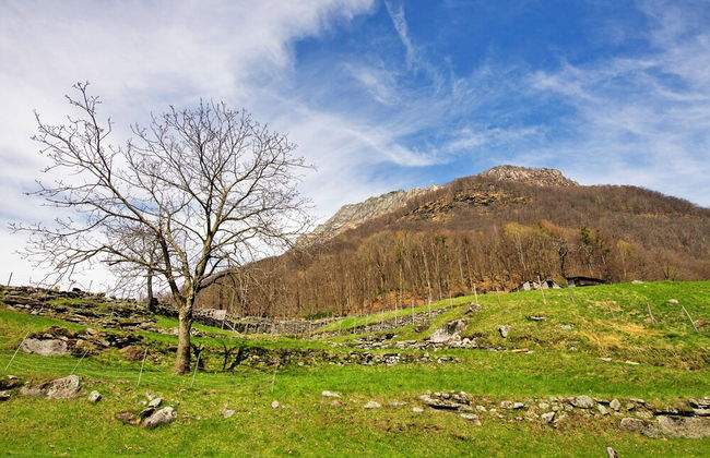 Rustico Esterina - Foto 23