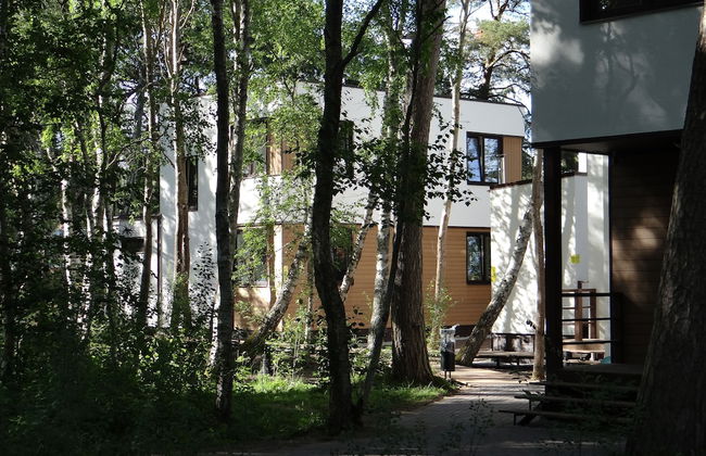 DORF - Foto 21
