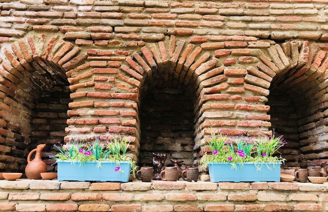 Botanical 21 Apartments - Foto 67