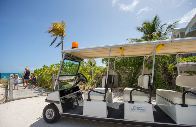 Villas of Elephant Walk, TCI - Photo 24