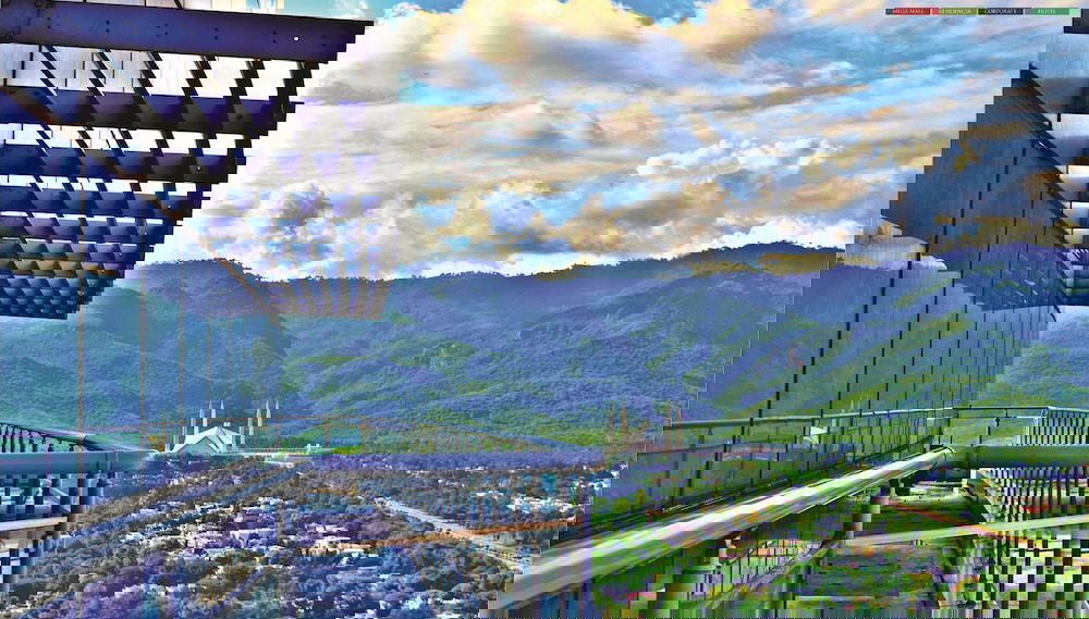 Image principale
