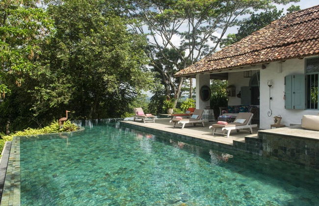 08 Acre Private Tea Estate Close To Galle - Foto 1