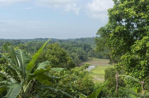 Photo 35 - 08 Acre Private Tea Estate Close To Galle