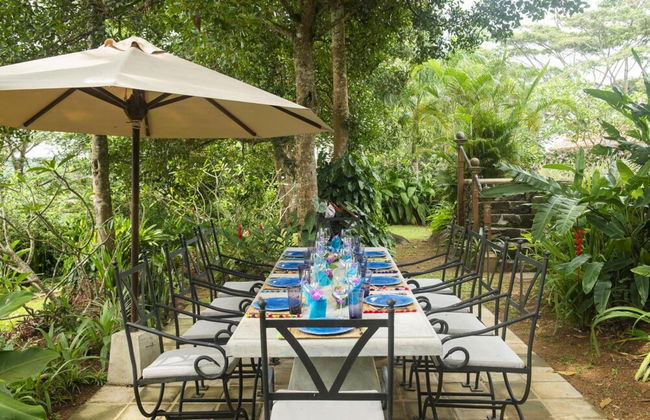 08 Acre Private Tea Estate Close To Galle - Foto 29