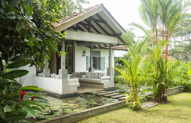 08 Acre Private Tea Estate Close To Galle - Foto 30